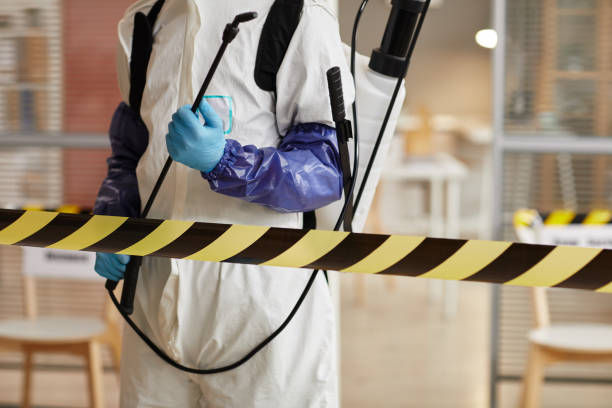 Professional Biohazard technician working in Bellevue, OH